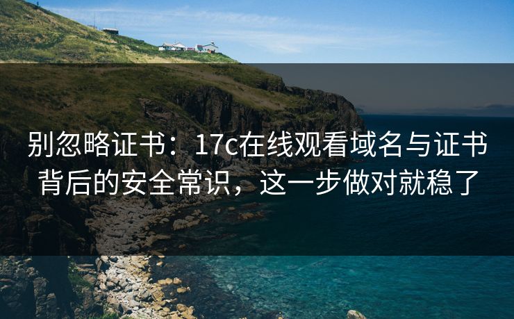 别忽略证书：17c在线观看域名与证书背后的安全常识，这一步做对就稳了