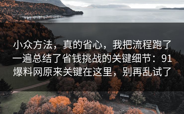 小众方法，真的省心，我把流程跑了一遍总结了省钱挑战的关键细节：91爆料网原来关键在这里，别再乱试了